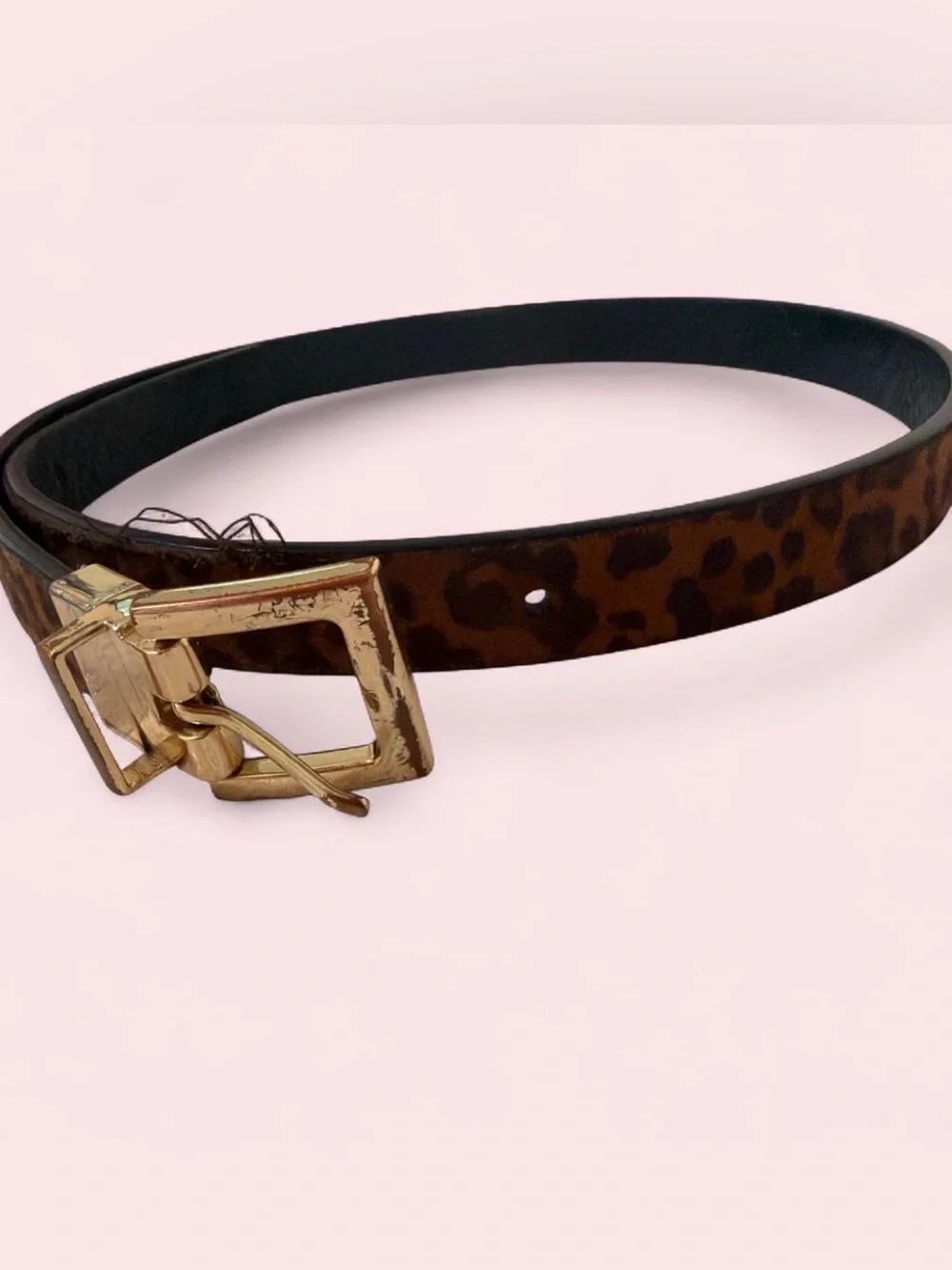 Express Black Belt with Gold Buckle and Leopard Lining